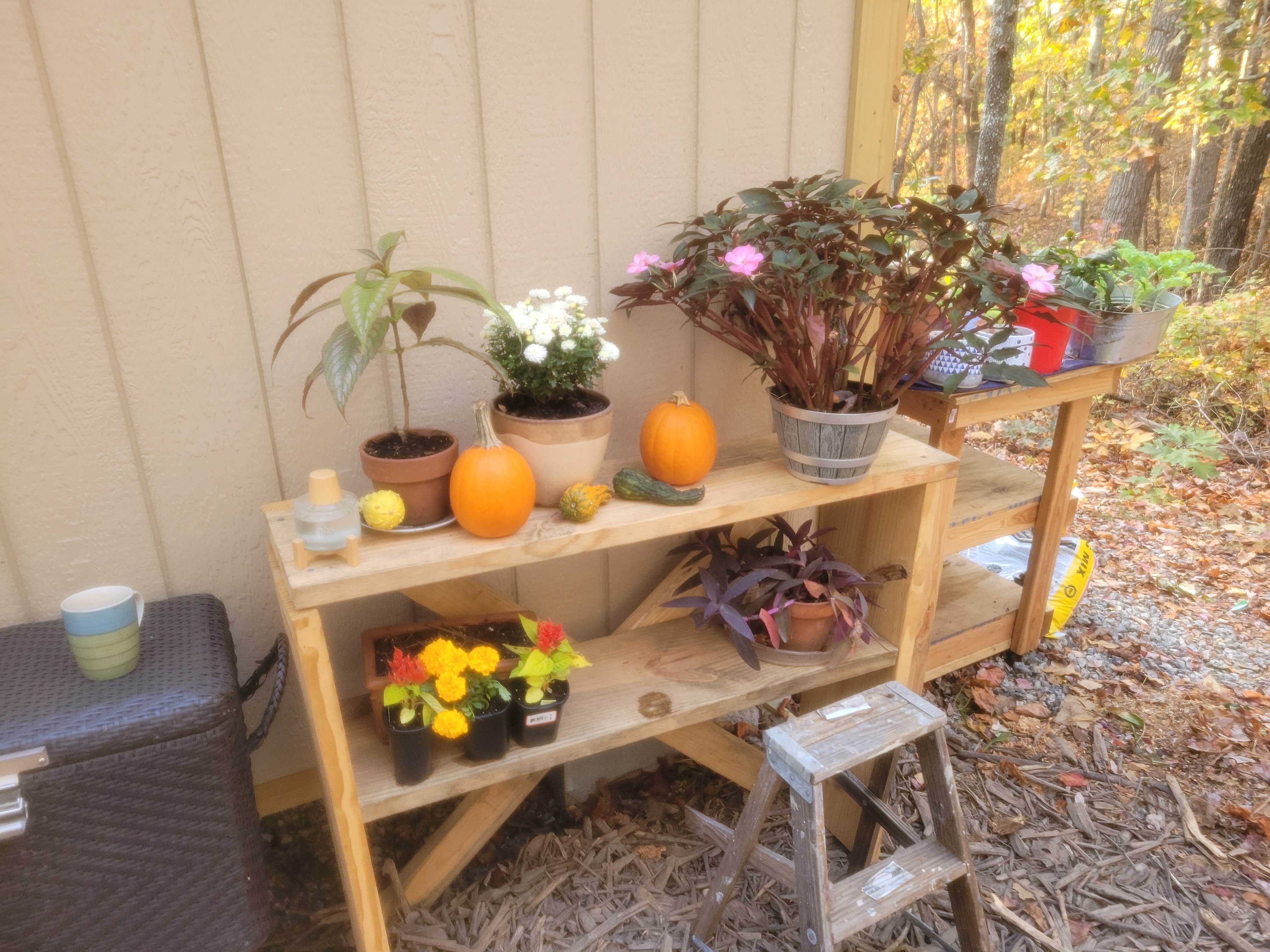 Camper submitted image from Serenity Ridge - 4