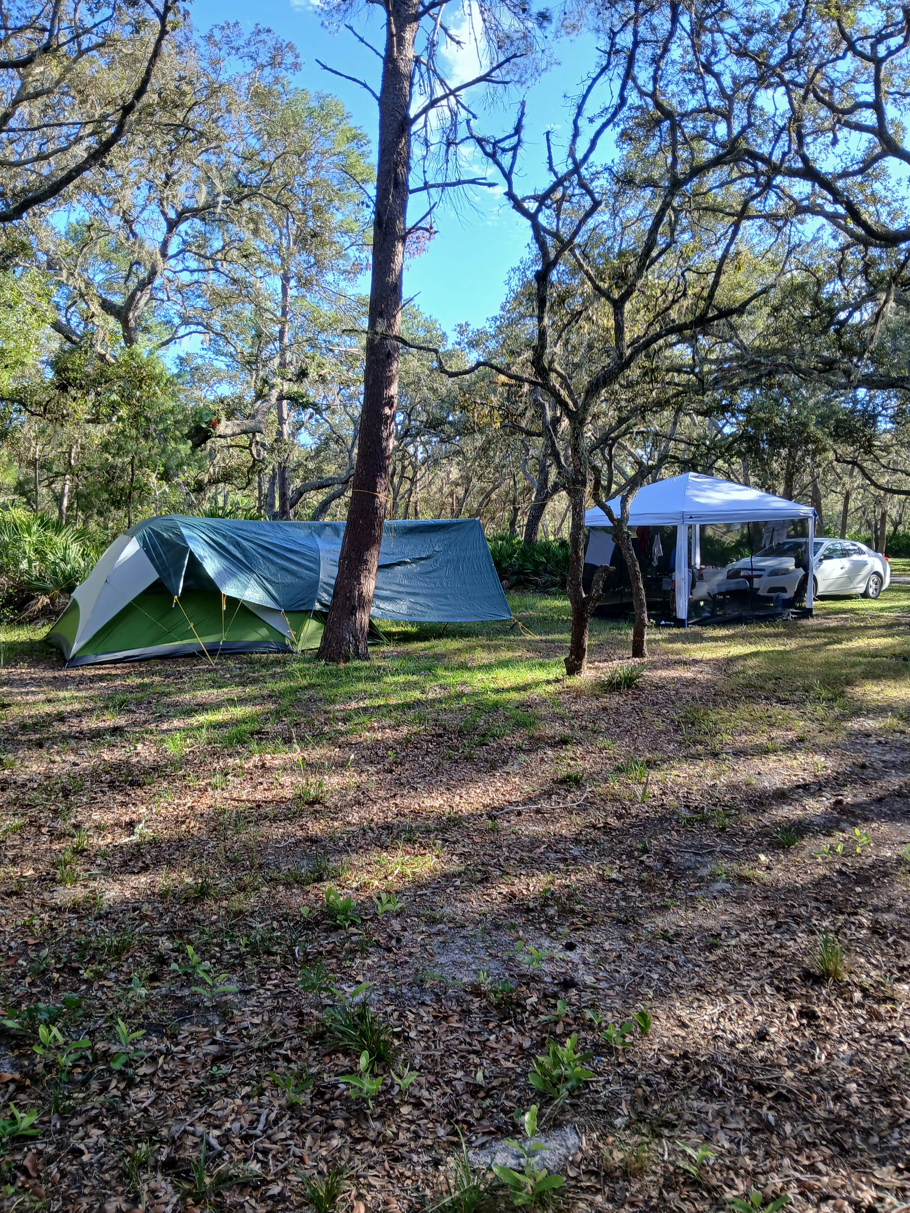 Camper-submitted photo at Serenova Tract Campsites near Tampa, FL