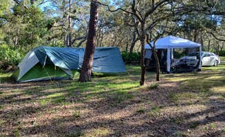 Laurence A.'s photo at Serenova Tract Campsites near Lutz, FL