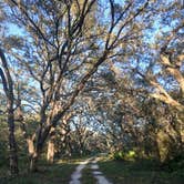 Review photo of Serenova Tract Campsites by Laurence A., October 16, 2025