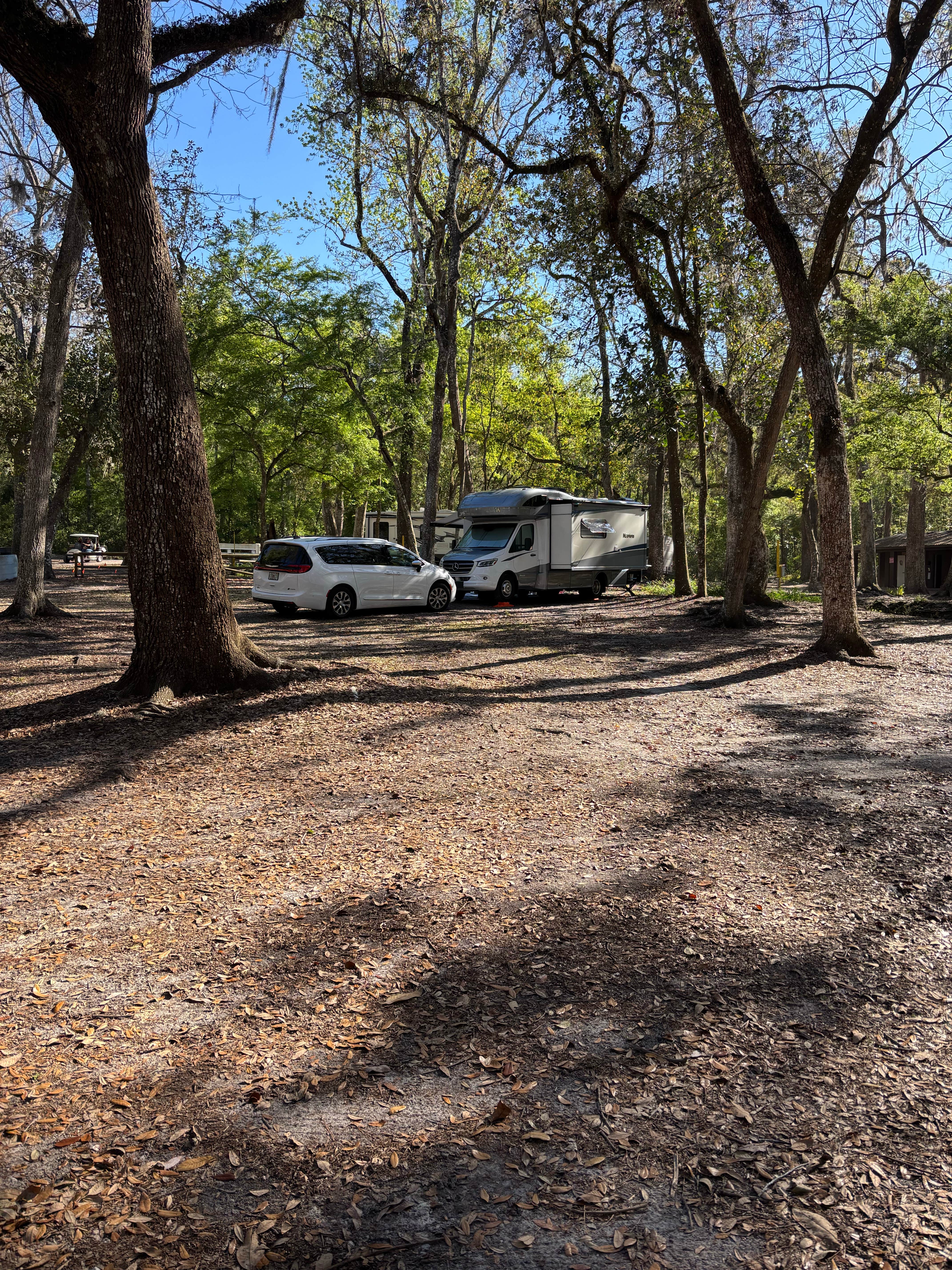 Camper-submitted photo at Florida Sand Music Ranch near Trilby, FL