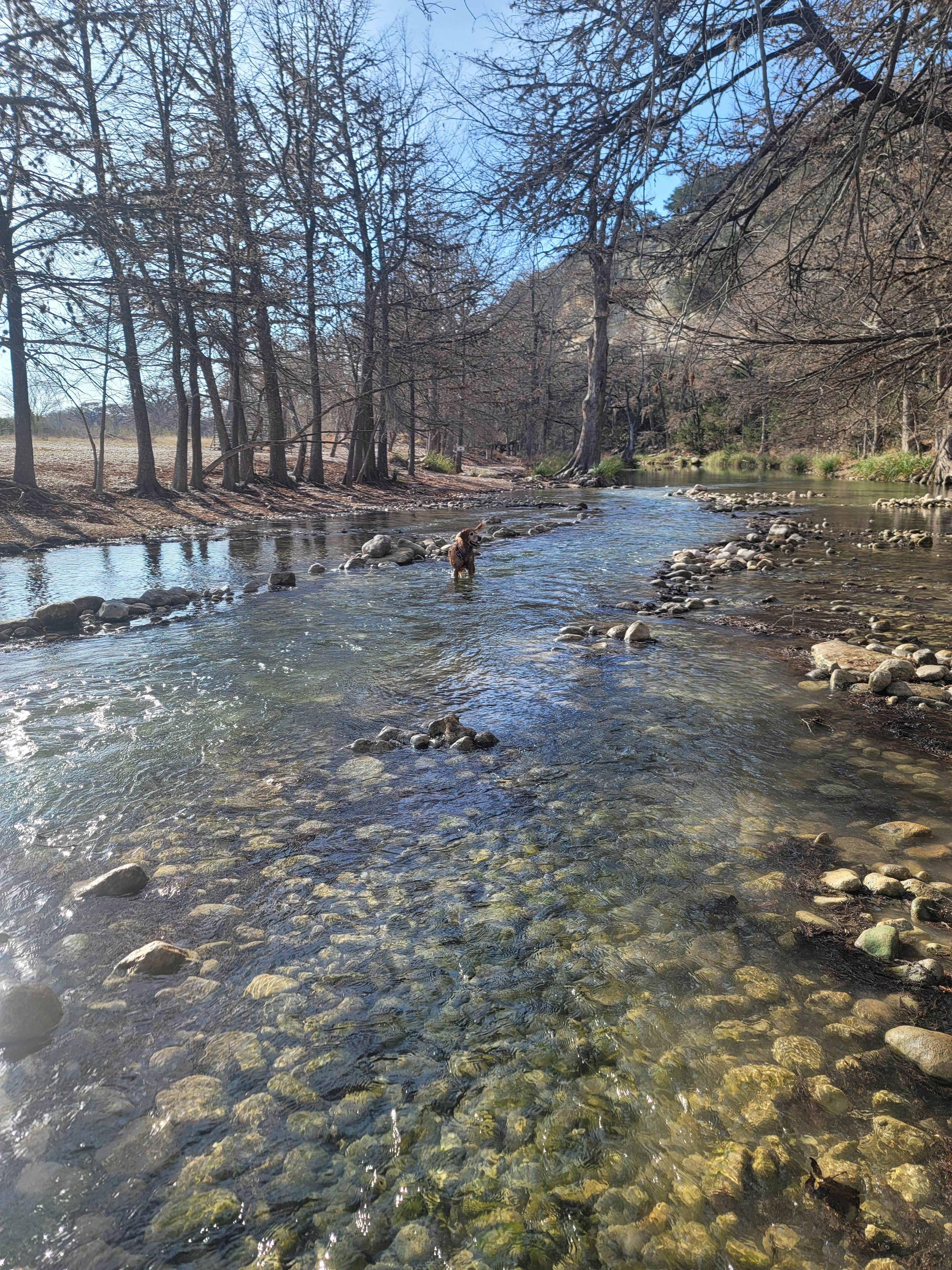 Camper-submitted photo at Seven Bluff Cabins & RV Park near Vanderpool, TX