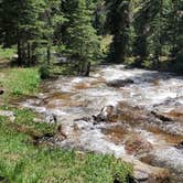 Review photo of Gold Camp Road/Forest Service Road 376 Dispersed by Misty D., July 8, 2024