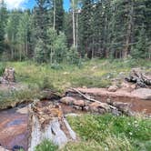 Review photo of Gold Camp Road/Forest Service Road 376 Dispersed by michelle H., September 8, 2024