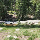 Review photo of Gold Camp Road/Forest Service Road 376 Dispersed by Misty D., July 8, 2024