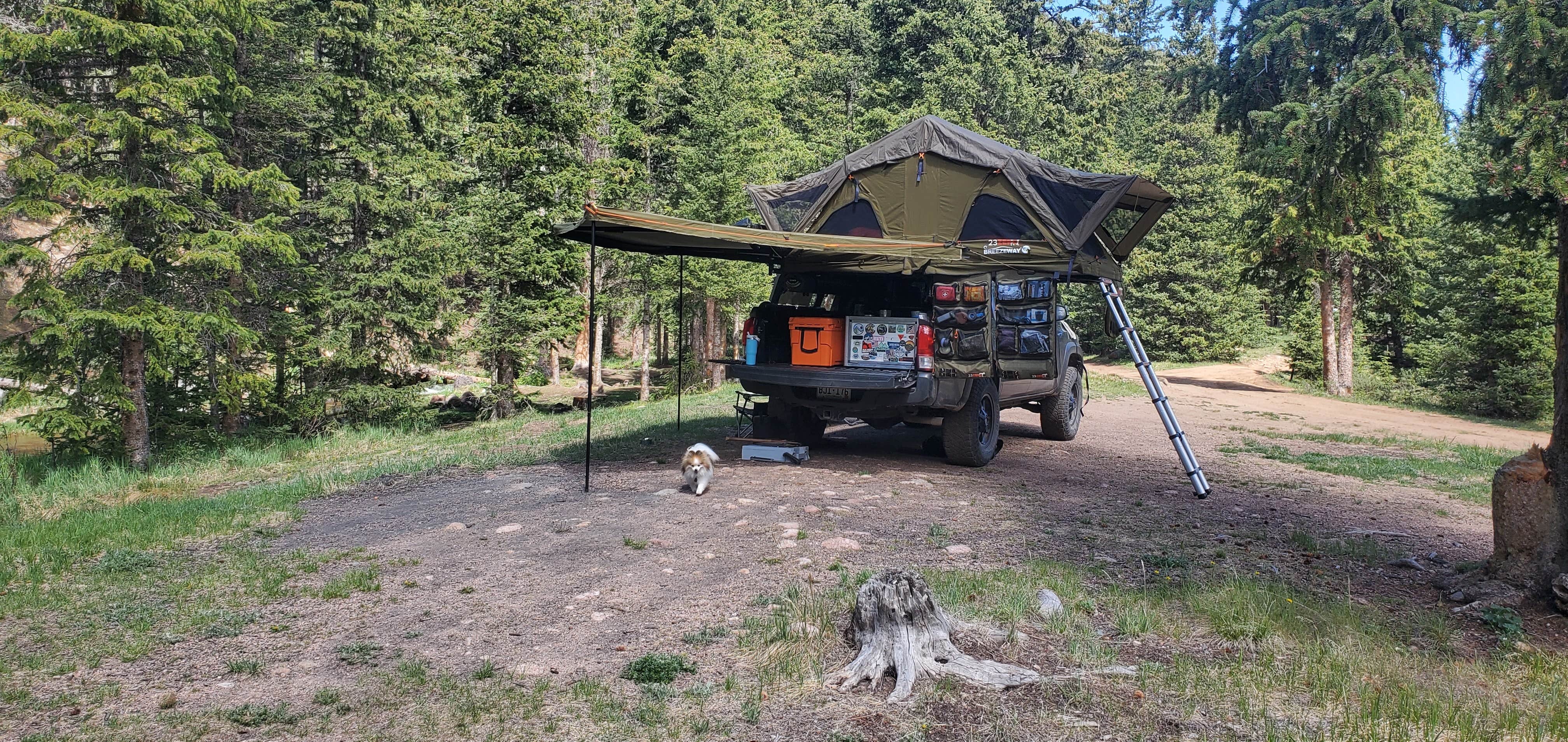 Misty D.'s photo of camping with pets at Gold Camp Road/Forest Service Road 376 Dispersed near Colorado Springs, CO