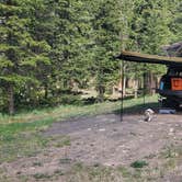 Review photo of Gold Camp Road/Forest Service Road 376 Dispersed by Misty D., July 8, 2024