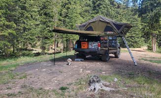 Misty D.'s photo of camping with pets at Gold Camp Road/Forest Service Road 376 Dispersed near Cripple Creek, CO