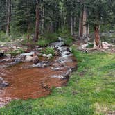 Review photo of Gold Camp Road/Forest Service Road 376 Dispersed by Erik I., June 13, 2024