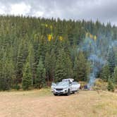 Review photo of Gold Camp Road/Forest Service Road 376 Dispersed by Lily R., September 20, 2024