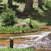 Review photo of Gold Camp Road/Forest Service Road 376 Dispersed by Misty D., July 8, 2024