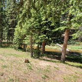 Review photo of Gold Camp Road/Forest Service Road 376 Dispersed by Misty D., July 8, 2024