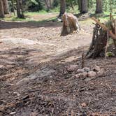 Review photo of Gold Camp Road/Forest Service Road 376 Dispersed by Misty D., July 8, 2024