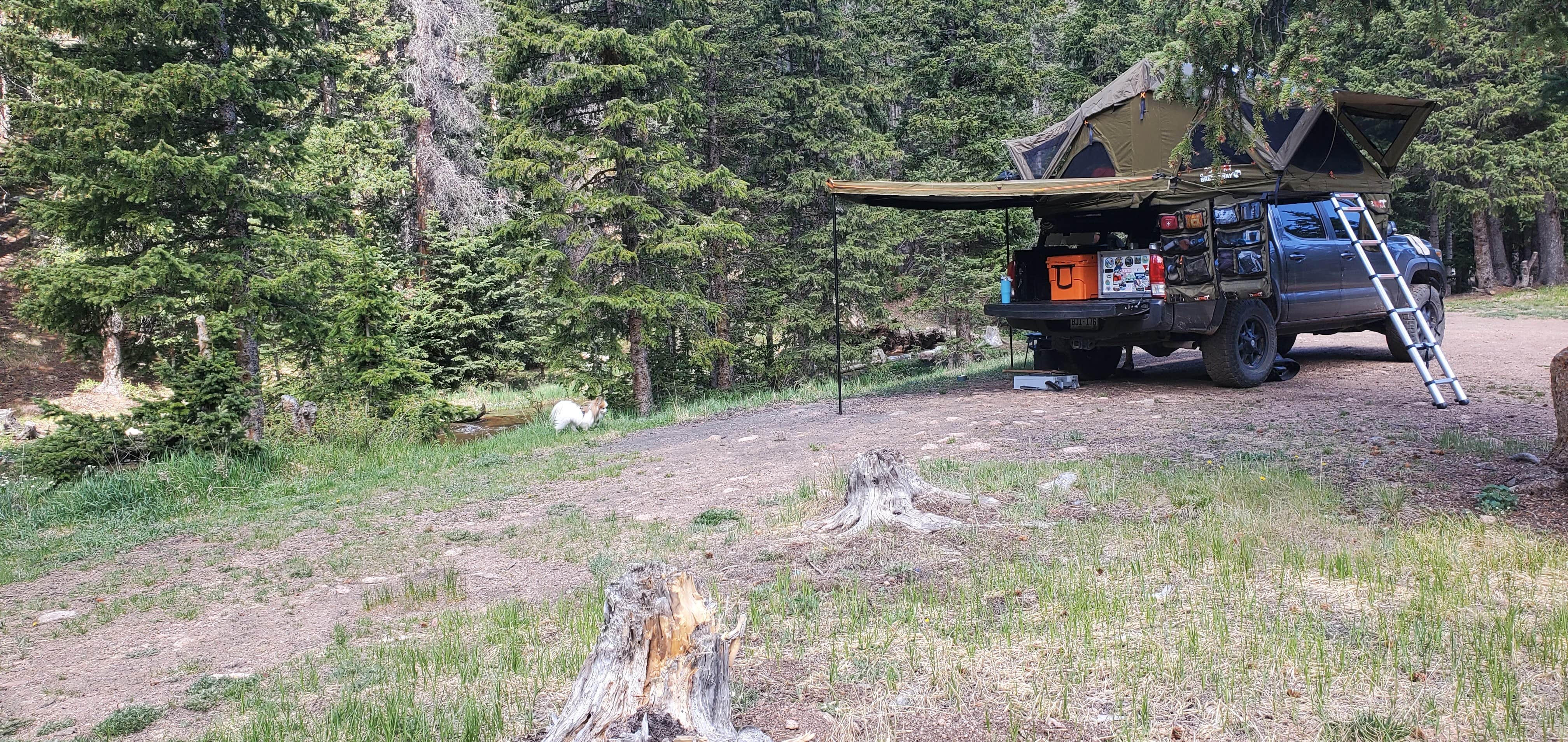 Camper-submitted photo at Gold Camp Road/Forest Service Road 376 Dispersed near Victor, CO