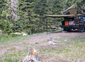 Gold Camp Road/Forest Service Road 376 Dispersed