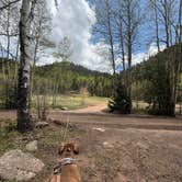 Review photo of Gold Camp Road/Forest Service Road 376 Dispersed by Emma H., June 12, 2025