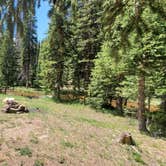 Review photo of Gold Camp Road/Forest Service Road 376 Dispersed by Misty D., July 8, 2024