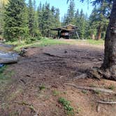 Review photo of Gold Camp Road/Forest Service Road 376 Dispersed by Misty D., July 8, 2024