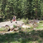 Review photo of Gold Camp Road/Forest Service Road 376 Dispersed by Misty D., July 8, 2024