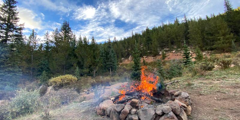 Camper submitted image from Gold Camp Road/Forest Service Road 376 Dispersed