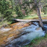 Review photo of Gold Camp Road/Forest Service Road 376 Dispersed by Misty D., July 8, 2024