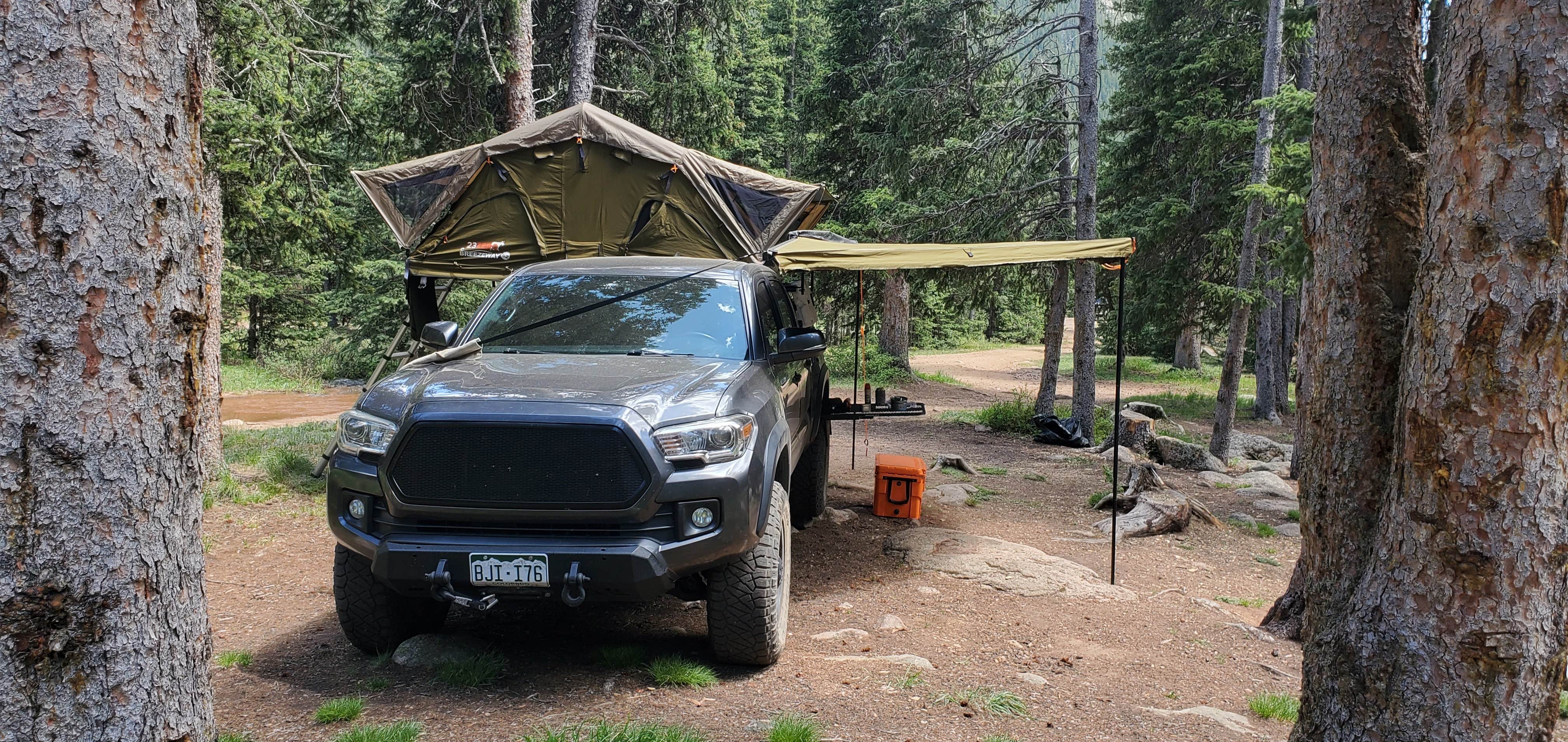 Gold Camp Road/Forest Service Road 376 Dispersed