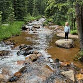 Review photo of Gold Camp Road/Forest Service Road 376 Dispersed by Charles L., July 10, 2024