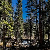 Review photo of Gold Camp Road/Forest Service Road 376 Dispersed by amber R., March 24, 2026