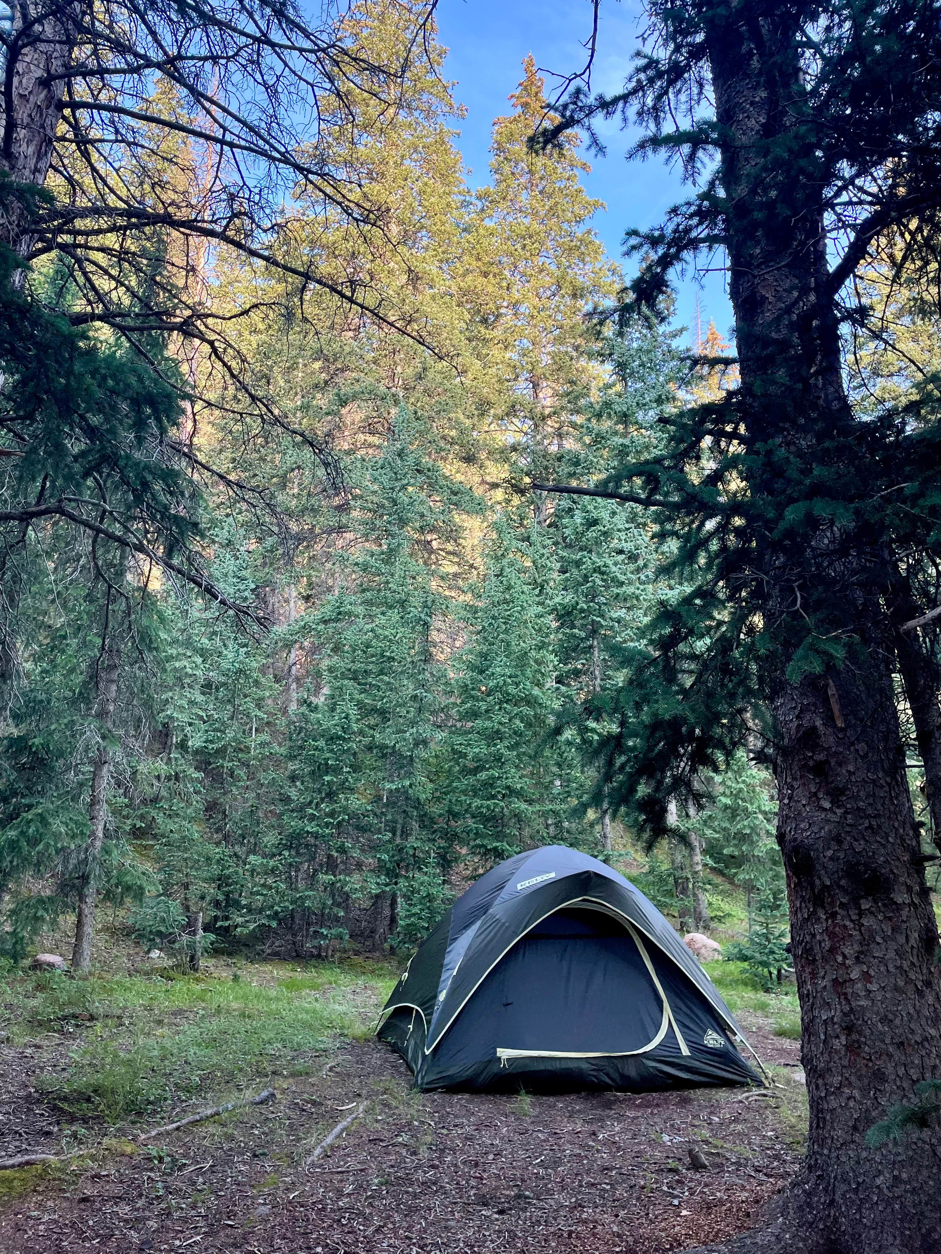 Camper-submitted photo at Gold Camp Road/Forest Service Road 376 Dispersed near Victor, CO