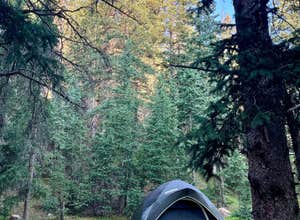 Gold Camp Road/Forest Service Road 376 Dispersed