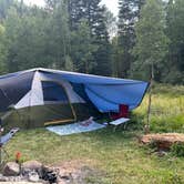 Review photo of Gold Camp Road/Forest Service Road 376 Dispersed by michelle H., September 8, 2024