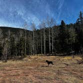 Review photo of Gold Camp Road/Forest Service Road 376 Dispersed by amber R., March 24, 2026