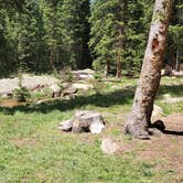 Review photo of Gold Camp Road/Forest Service Road 376 Dispersed by Misty D., July 8, 2024