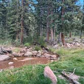 Review photo of Gold Camp Road/Forest Service Road 376 Dispersed by michelle H., September 8, 2024