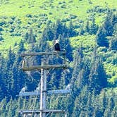 Review photo of Seward City Campgrounds by Lynde T., July 15, 2026