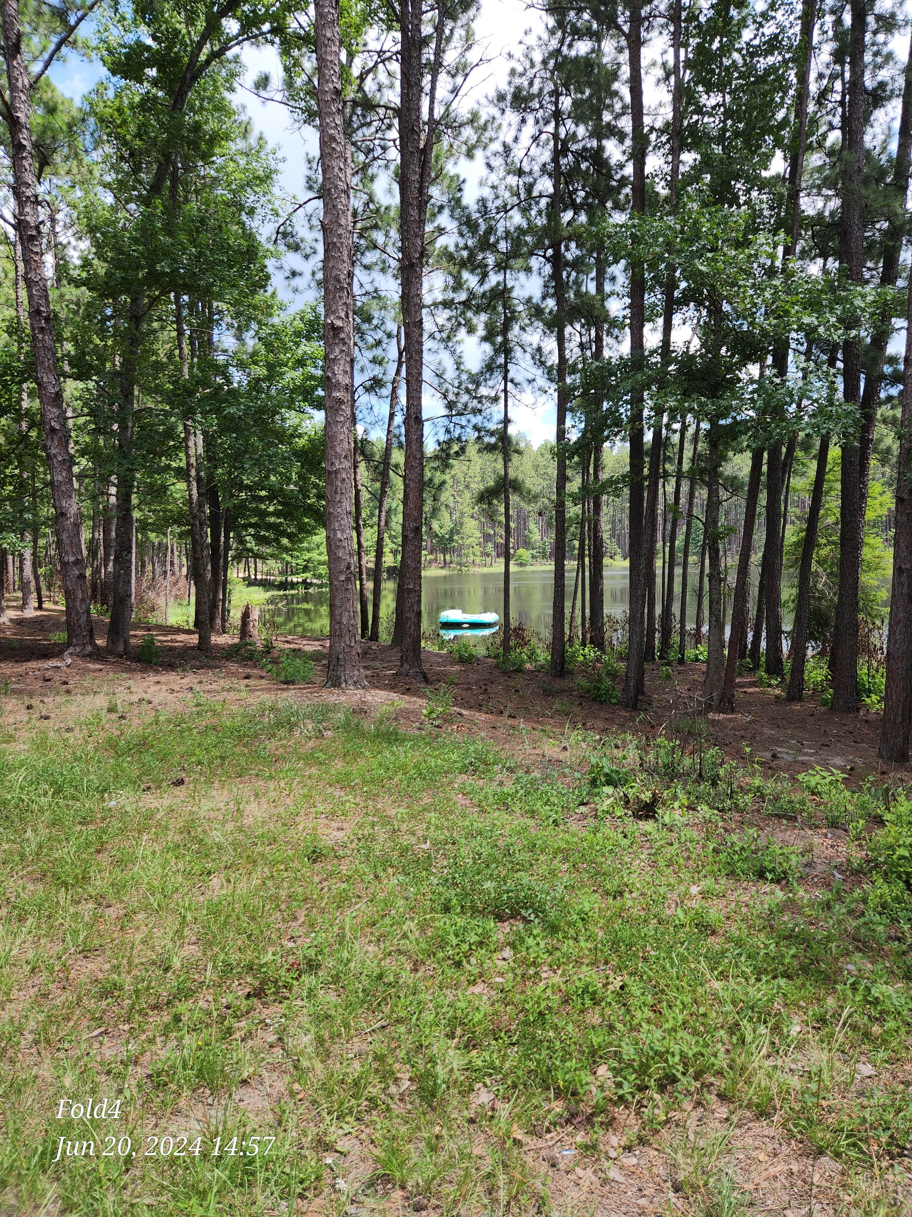 Camper-submitted photo at Sexton Pond Dispersed near Silsbee, TX