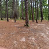 Review photo of Sexton Pond Dispersed by Jennifer M., April 24, 2025