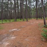 Review photo of Sexton Pond Dispersed by Jennifer M., April 24, 2025