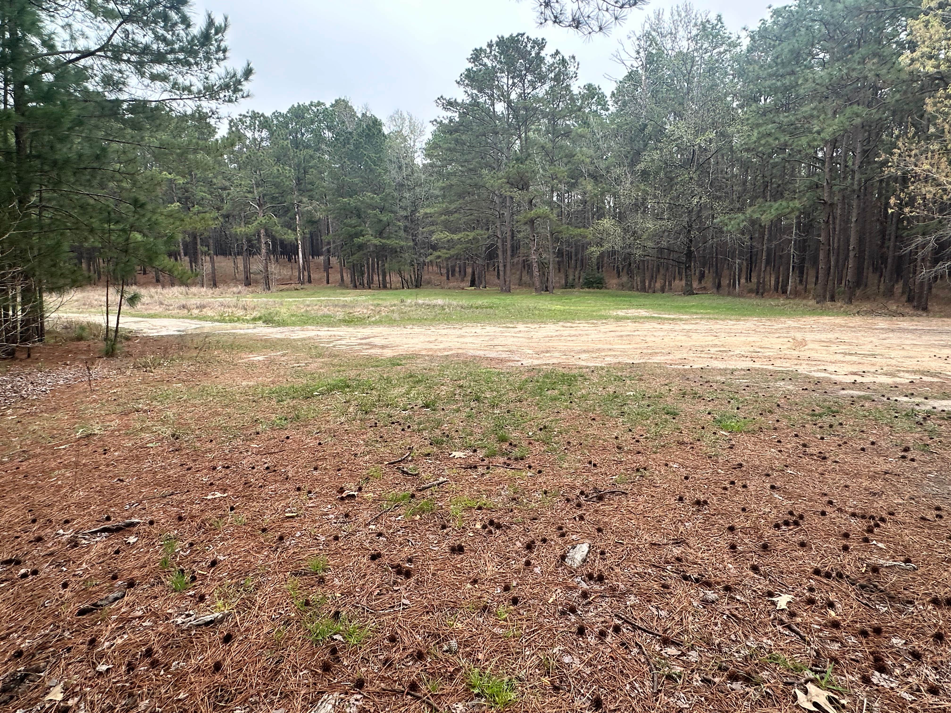 Camper-submitted photo at Sexton Pond Dispersed near Sabine National Forest