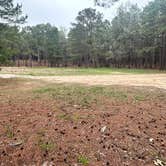 Review photo of Sexton Pond Dispersed by Donald B., March 8, 2026