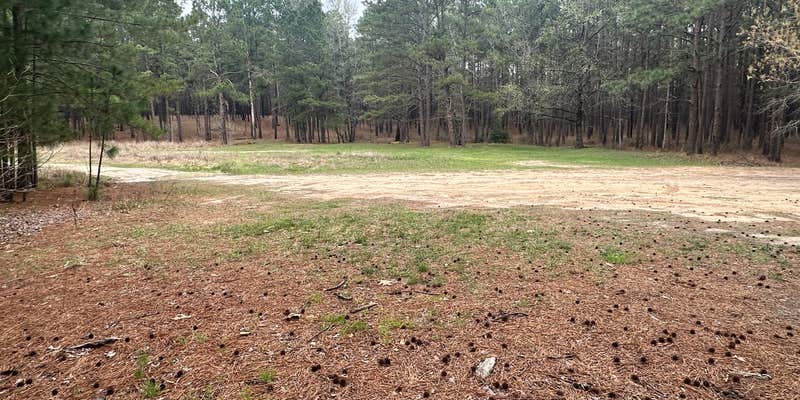 Camper submitted image from Sexton Pond Dispersed