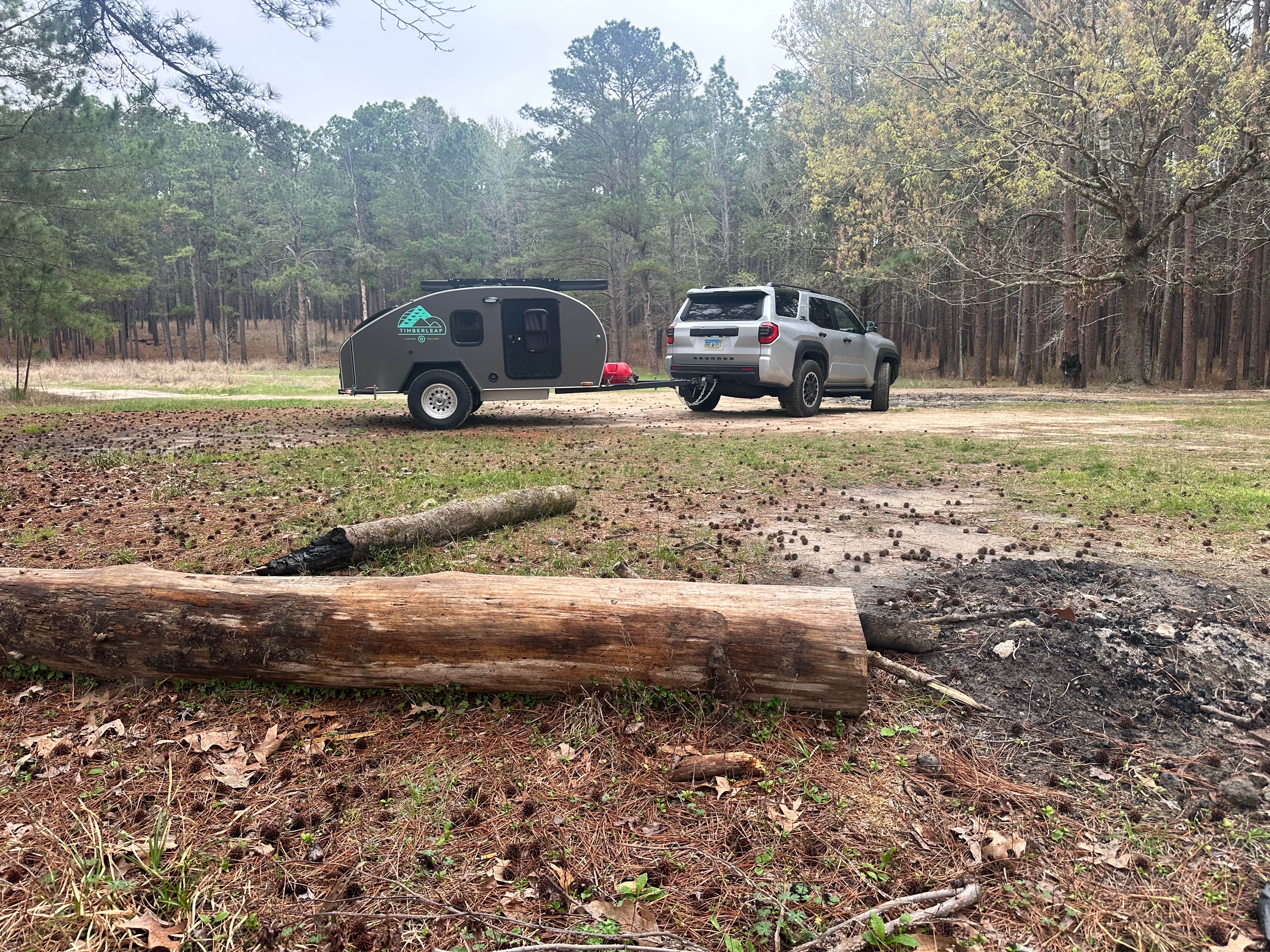 Camper-submitted photo at Sexton Pond Dispersed near Angelina National Forest