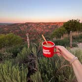 Review photo of SH 207 Palo Duro Canyon Overlook by Madeline G., May 18, 2024