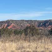 Review photo of SH 207 Palo Duro Canyon Overlook by SJ P., February 8, 2026