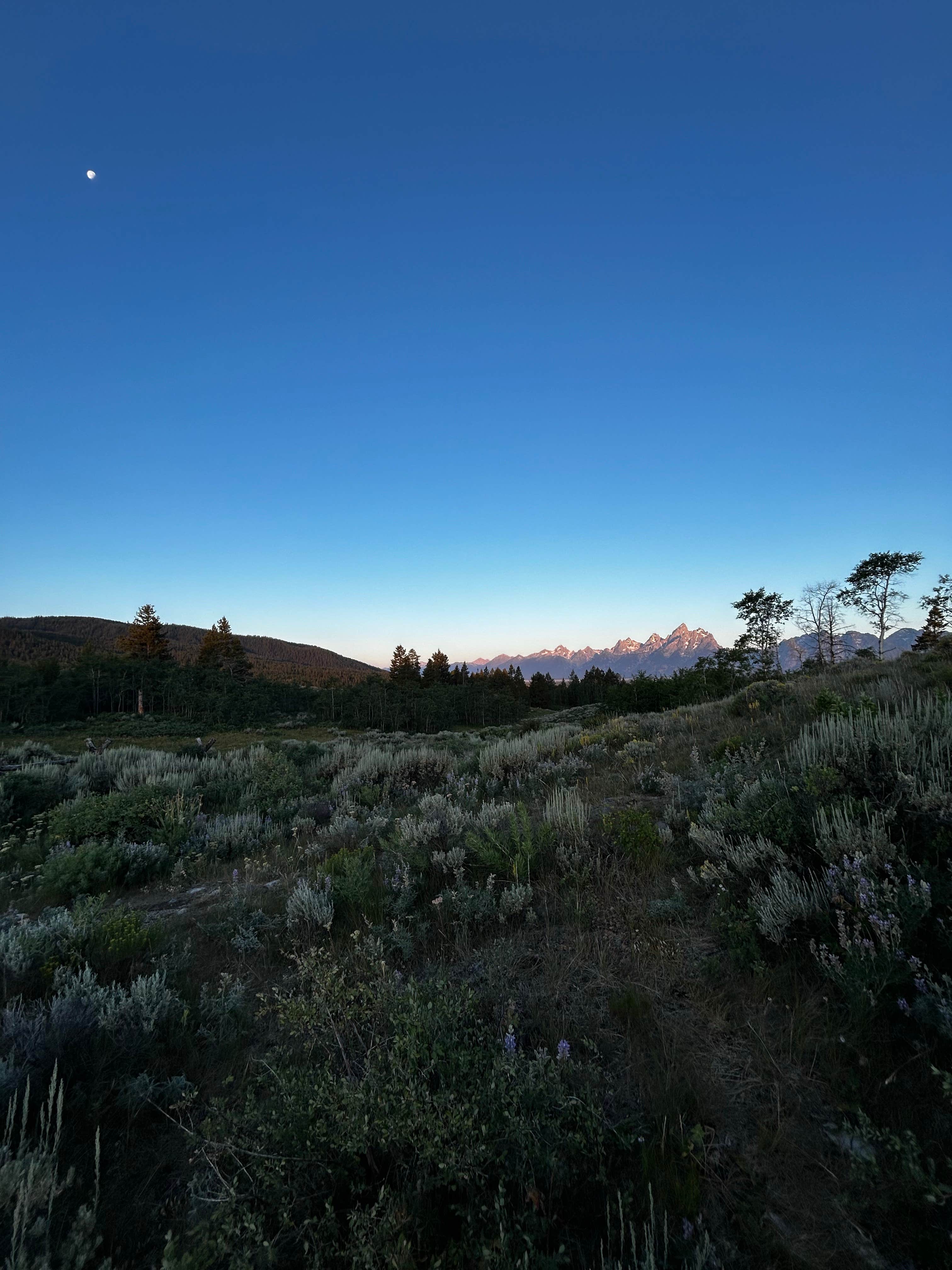Camper-submitted photo at Shadow Mountain Campground near Grand Teton National Park