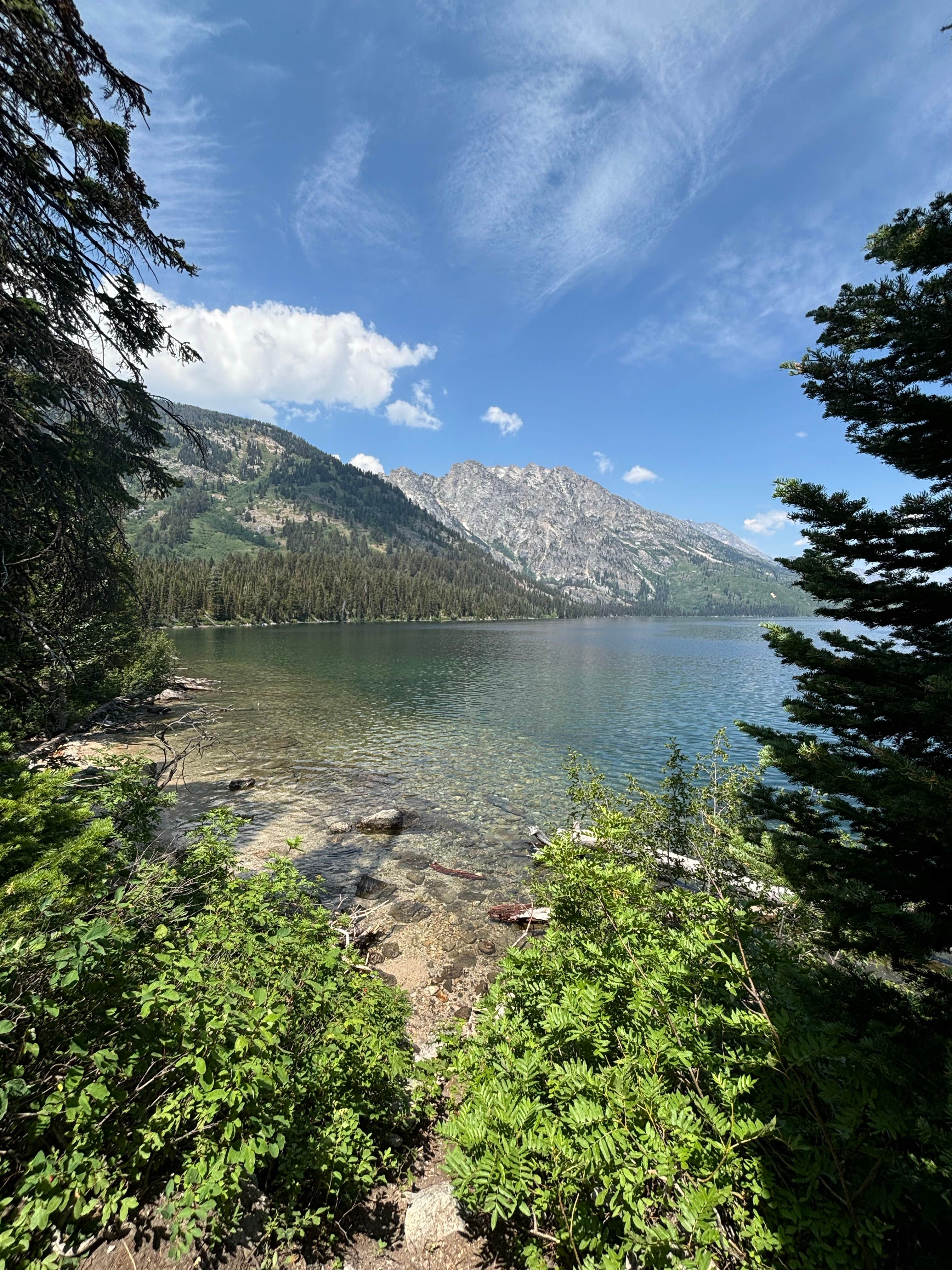 Eden B.'s photo of a dispersed camping area at Shadow Mountain Campground near Moose, WY