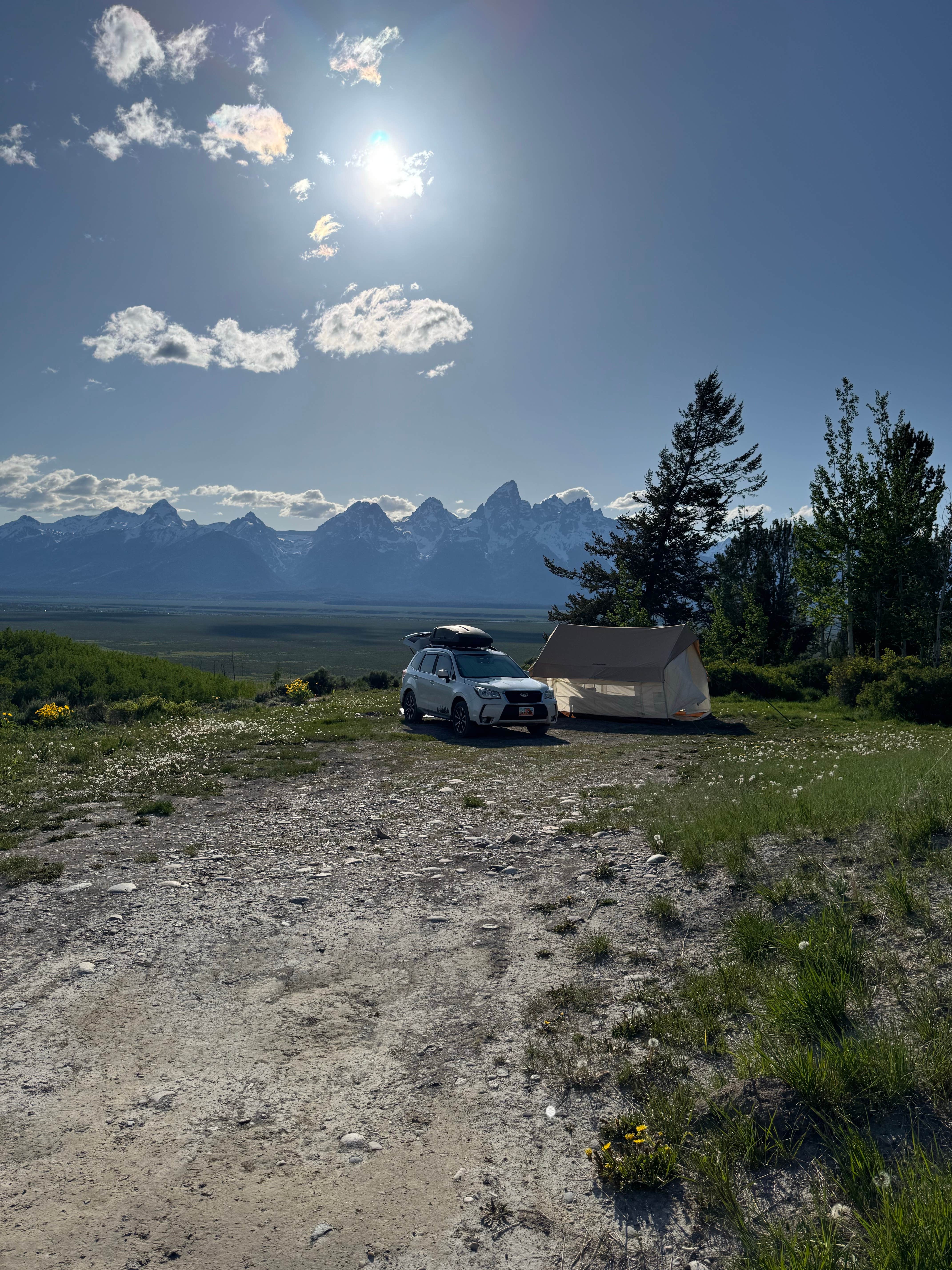 Christine M.'s photo of a dispersed camping area at Shadow Mountain Designated Campsite 1 near Grand Teton National Park