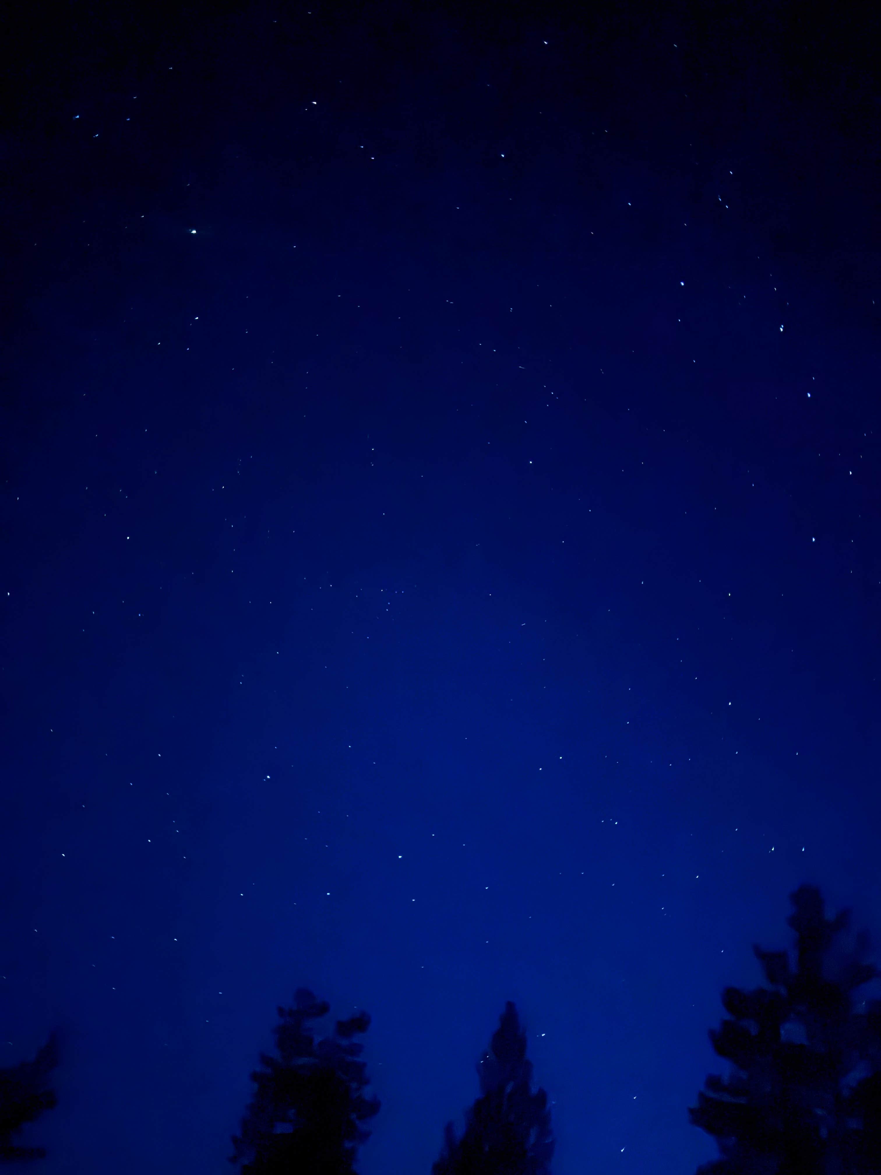 Kaelyn H.'s photo of a dispersed camping area at shadow mountain designated campsite #4 near Grand Teton National Park