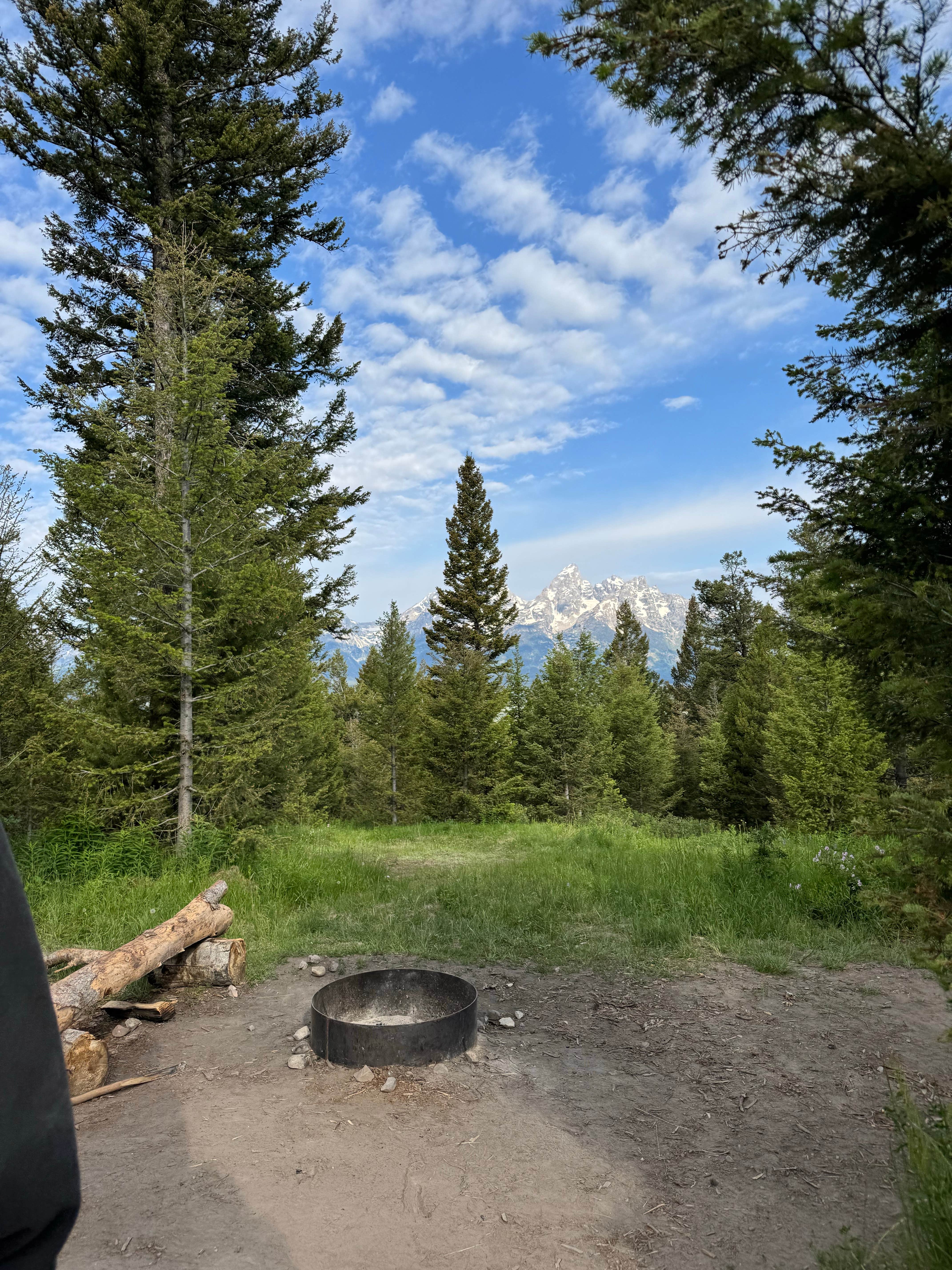 Camper submitted image from shadow mountain designated campsite #4 - 5