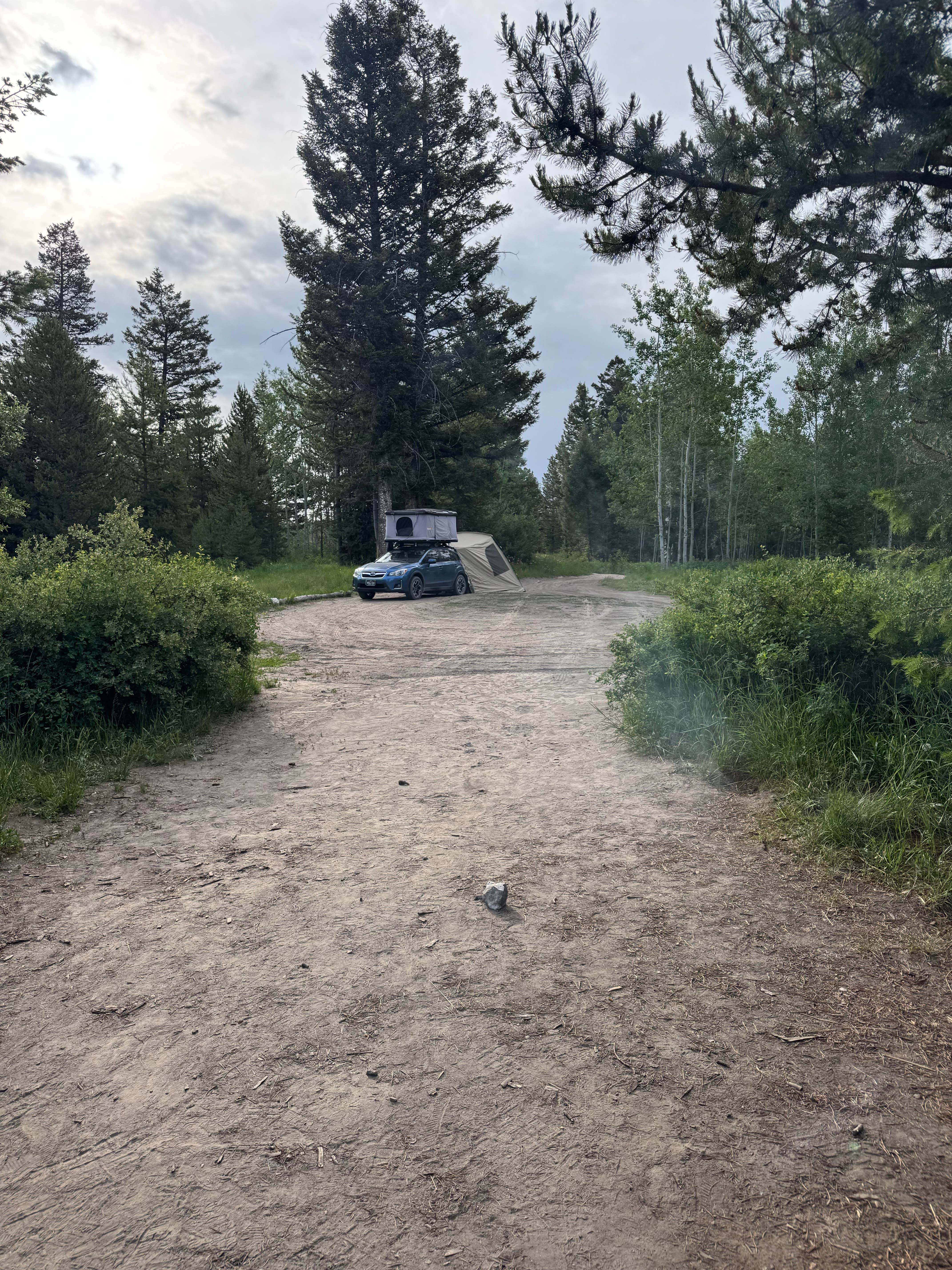 Camper submitted image from shadow mountain designated campsite #4 - 3